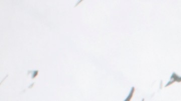 Luce los zapatos en tendencia de la temporada con los Kitten Heels.