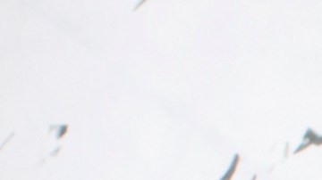 Luce los zapatos en tendencia de la temporada con los Kitten Heels.