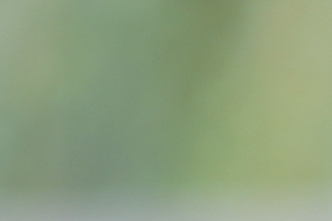 Usa tu acondicionador o mascarilla faavorita para realizar el método ACA. 