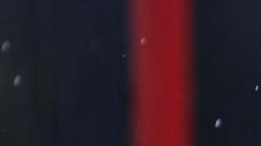 Taylor Russell lleva sus mejores looks al Festival de Cine de Venecia.