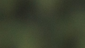 Usa los colores en tendencia para tus uñas de otono.