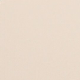 Cuida tus zapatos de piel al limpiarlos con los consejos adecuados.