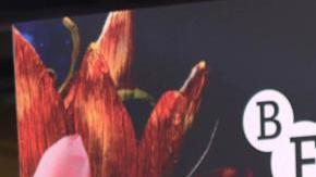 Selena Gomez destacó con su look en el Festival de Cine BFI que se realizó en Londres.