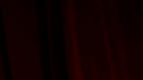 Las celebridades más destacadas del momento, como Selena Gómez, asistieron a la Academy Museum Gala.