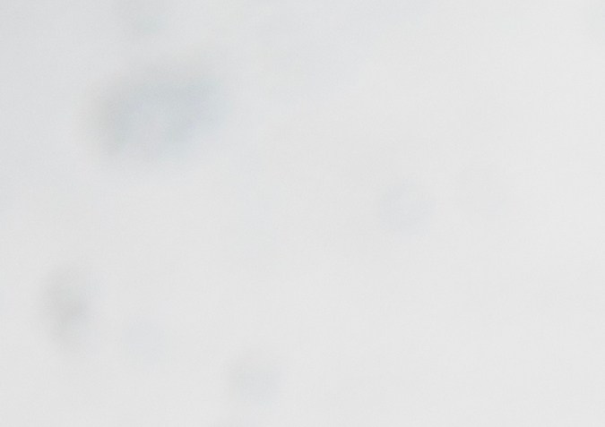 Las almendras y nueces son alimentos ricos en Omega 3.