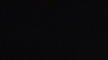 Miu Miu sorprende con su nueva colección de Primavera/Verano 2025/