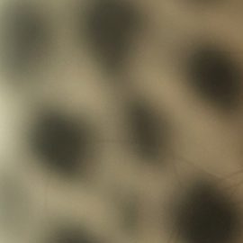 El maquillaje de leopardo es la tendencia para la fiesta de Halloween.