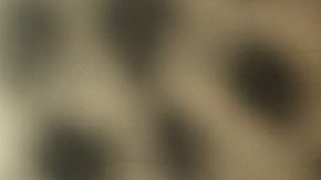 El maquillaje de leopardo es la tendencia para la fiesta de Halloween.