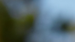 El verde oliva será uno de los colores favoritos para la temporada del otoño.