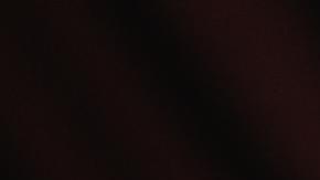 Pamela Anderson destacó en la ceremonia de los Premios Glamour.