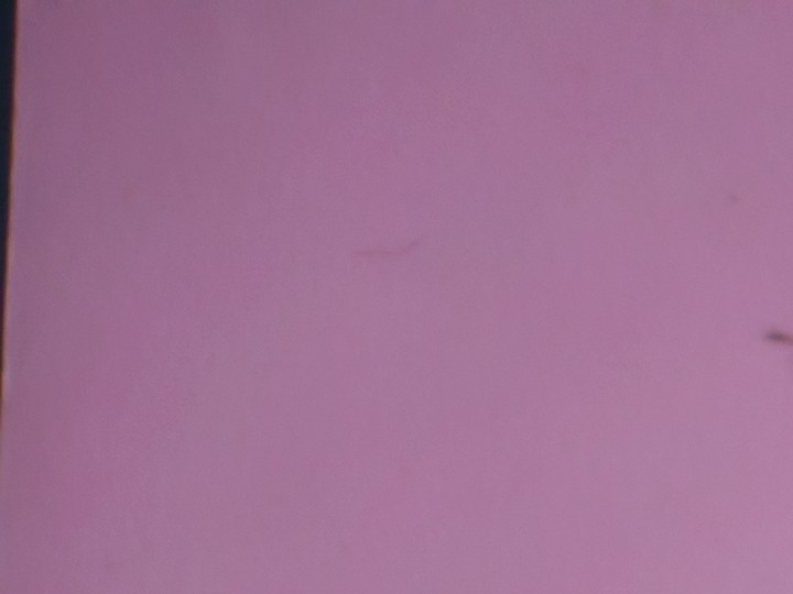 Pantene posee el producto ideal para que luzcas puntas saludables en tu pelo.