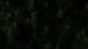 La reina Letizia destaca con un nuevo vestido en la ceremonia de Premio Planeta.