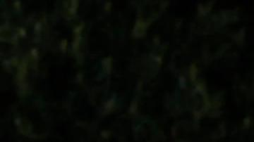 La reina Letizia destaca con un nuevo vestido en la ceremonia de Premio Planeta.