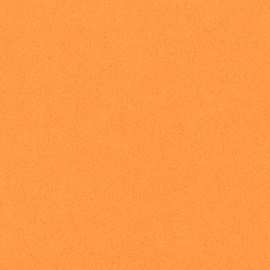 Rihanna presentó su nueva colaboración con puma.