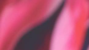 Selena Gómez tiene un nuevo estatus billonario tras el éxito de su marca de cosméticos.