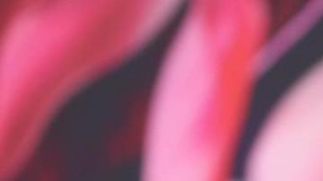 Selena Gómez tiene un nuevo estatus billonario tras el éxito de su marca de cosméticos.