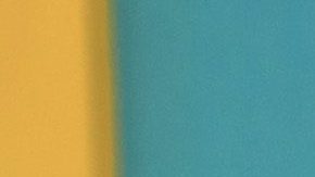 Selena Gómez usa un tipo de aceite para cuidar sus cejas.