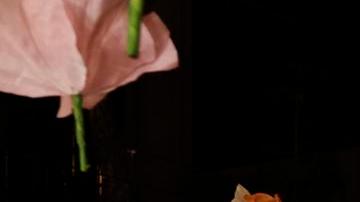 Ariana Grande destacó con un nuevo look para el estreno de Wicked.