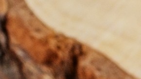 El agua de arroz ayuda a aumentar el brillo natural en el cabello.