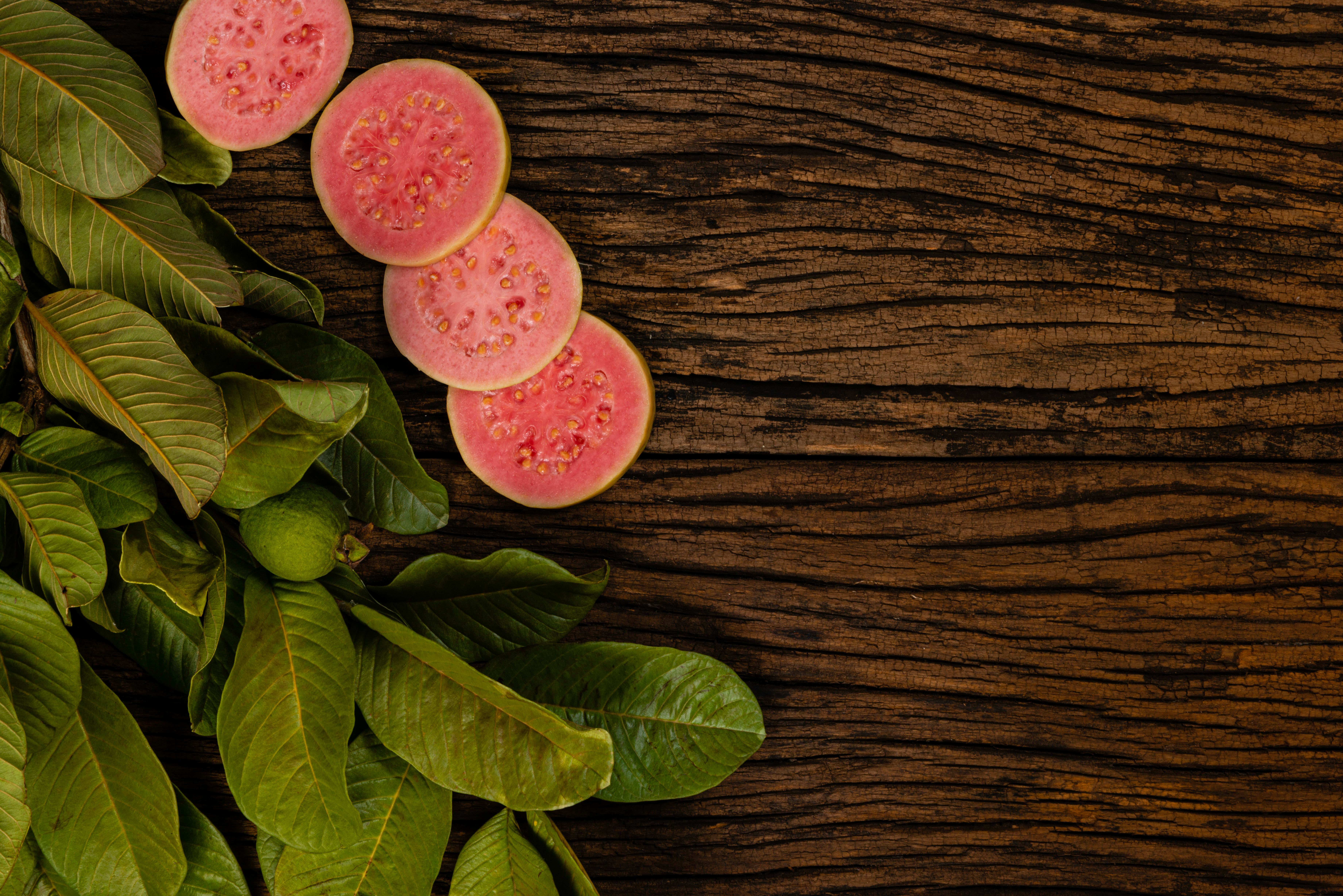 Las hojas de guayaba mejoran el cuidado del cabello.