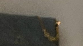 Dior presentó los nuevos bolsos Lady Dior de artistas internacionales.