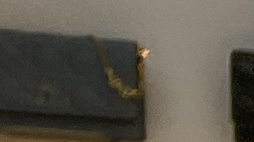 Dior presentó los nuevos bolsos Lady Dior de artistas internacionales.