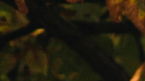 Las tendencias del otoño están protagonizadas por las faldas.