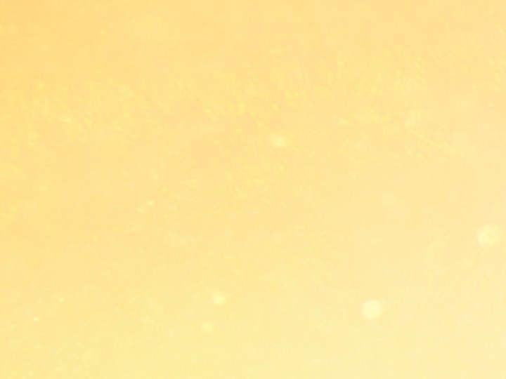 Marc Jacobs presentó su versión de los icónicos zapatos del mago de Oz.