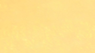 Marc Jacobs presentó su versión de los icónicos zapatos del mago de Oz.