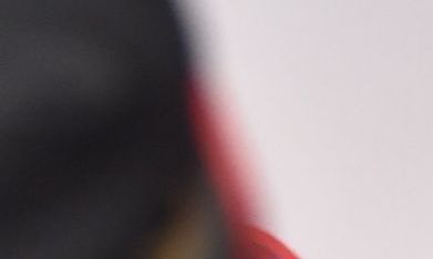 Tom Holland y Zendaya continúan su historia de amor.