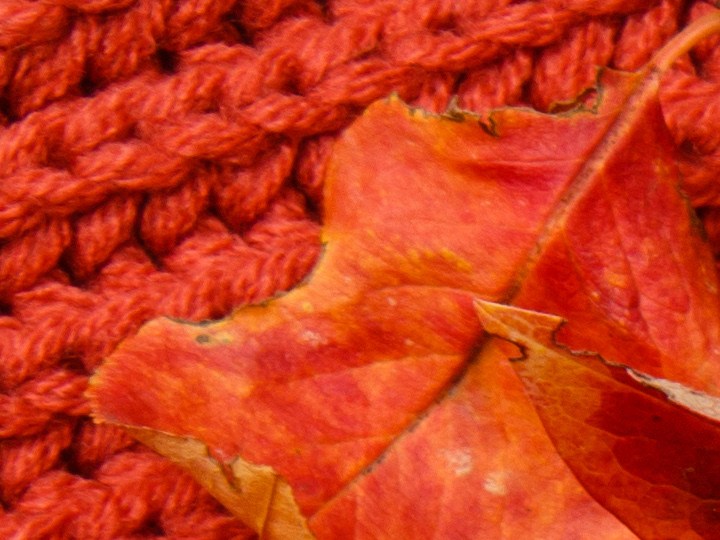 Las uñas en tendencia para el otoño destacan por su facilidad para hacerse en casa.