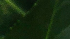 Victoria Beckham destacó en la premiación de Harper's Bazaar.