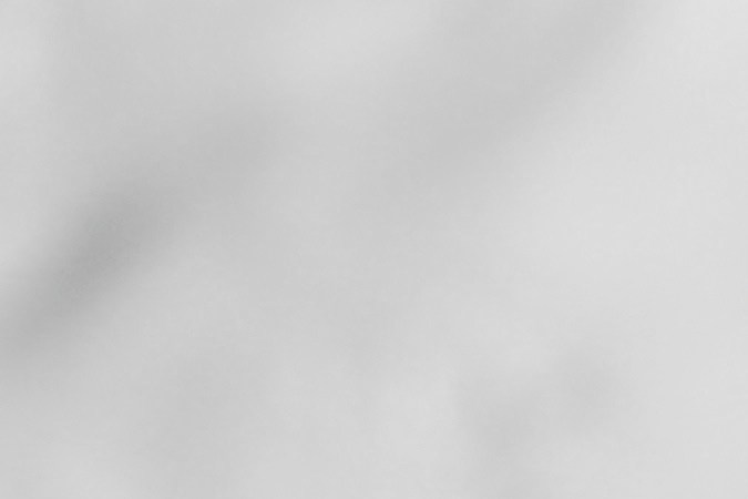 El romero es una de las plantas más conocidas en la medicina estética.