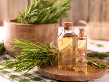 Cuida tu cabello al preparar un aceite de romero casero.