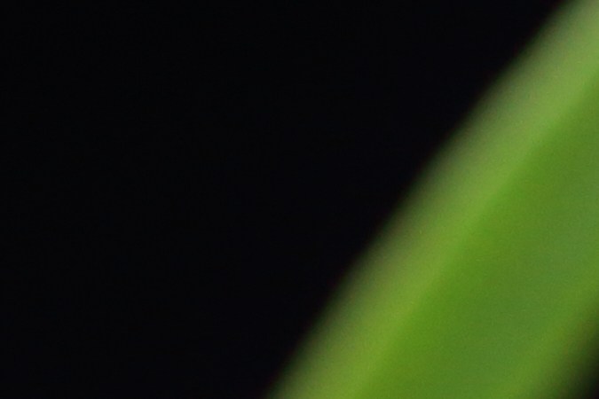 Almacena las hojas de romero con el aceite de ru preferencia.