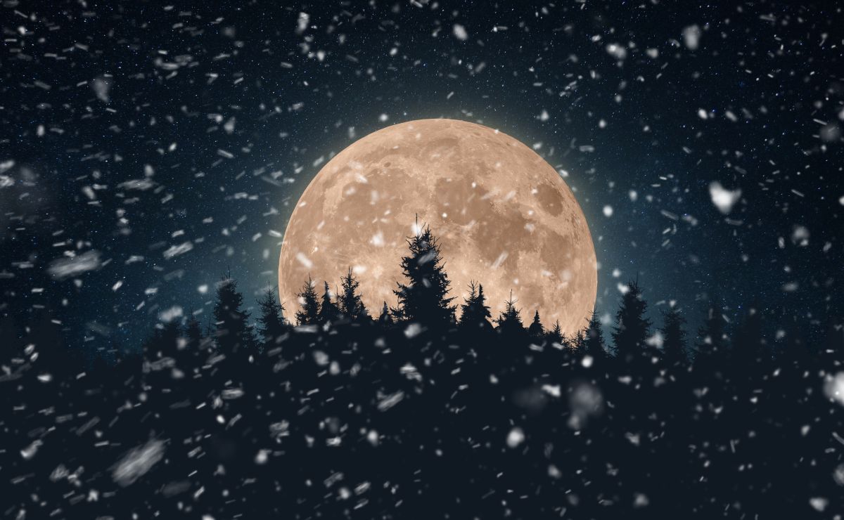 Calendario lunar de enero 2025 conoce cuándo cortar tu pelo Bien Bonita