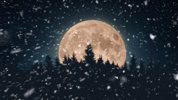 Empieza a cortar tu cabello según las fases lunares para beneficiarte de su energía.
