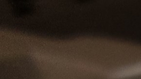 El cepillo secador de Revlon se ha convertido en uno de los favoritos de muchas chicas.