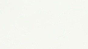 Kérastase tiene los productos adecuados para mejorar el aspecto de tu cabello y cubrir sus necesidades.