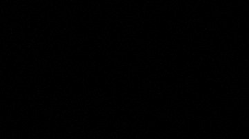 Semana de la Moda llegará a Nueva York En febrero.