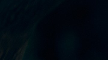 Organiza tu cartera con los consejos adecuados para cuidar tus pertenencias.