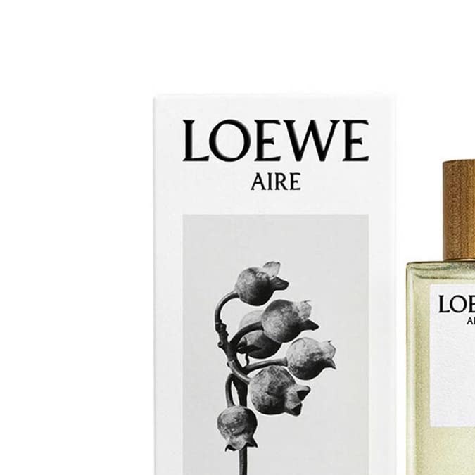 Aire de Loewe.
