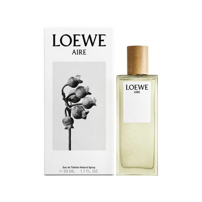 Aire de Loewe.