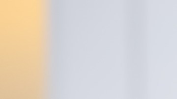 Mejora el cuidado de tu cabello y evita su caída al tener una alimentación saludable.