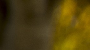 Los zapatos deportivos deben limpiarse adecuadamente para evitar las manchas permanentes.