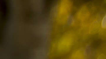 Los zapatos deportivos deben limpiarse adecuadamente para evitar las manchas permanentes.