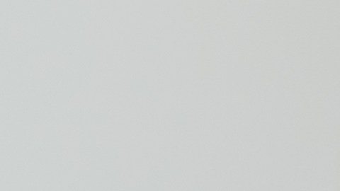 La caída del cabello