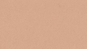 Los zapatos en tendencia para esta temporada serán aquellos de color Mocha Mousse.