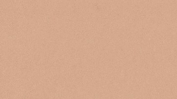 Los zapatos en tendencia para esta temporada serán aquellos de color Mocha Mousse.