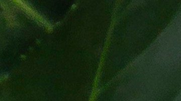 Victoria Beckham tiene su propia línea de brochas para sus cosméticos.